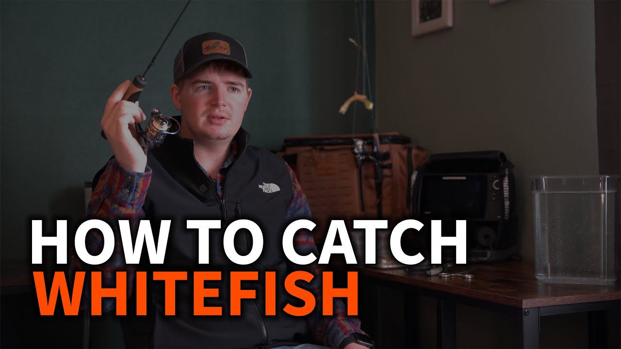 How To Target and Catch WhiteFish